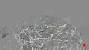 Caméra IP - IT