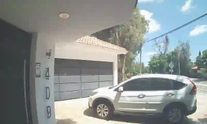 Caméra IP - MX