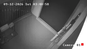 Caméra IP - IT