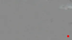Caméra IP - ES