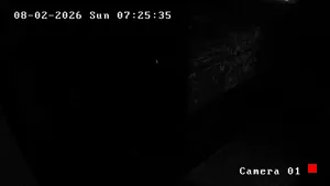 Caméra IP - QA
