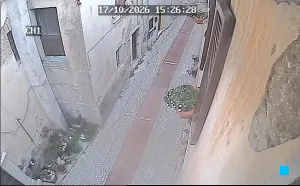 Caméra IP - IT