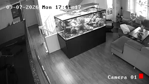 Caméra IP - NO