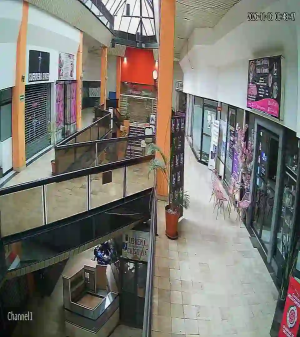 Caméra IP - MX