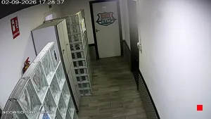 Caméra IP - ES