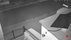 Caméra IP - DE