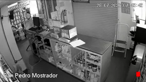 Caméra IP - MX