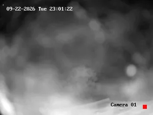 Caméra IP - CA