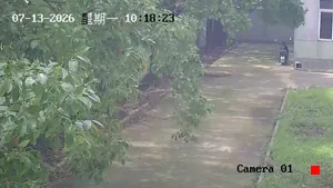 Caméra IP - CN