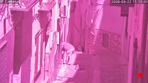 Caméra IP - ES