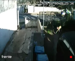 Caméra IP - UY