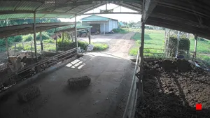 Caméra IP - TH
