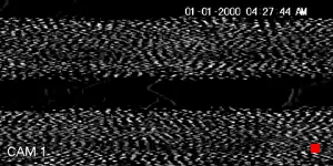 Caméra IP - MX