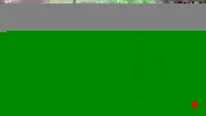 Caméra IP - US