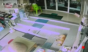 Caméra IP - TH