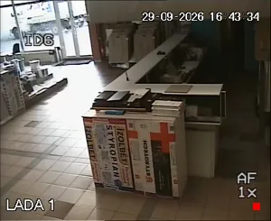 Caméra IP - PL