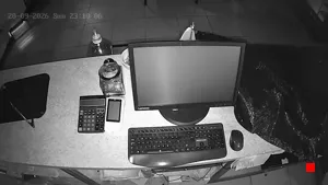 Caméra IP - MX