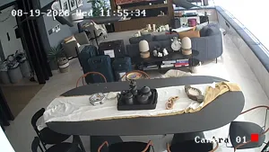 Caméra IP - AR
