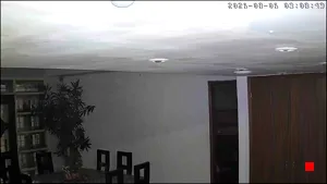 Caméra IP - US