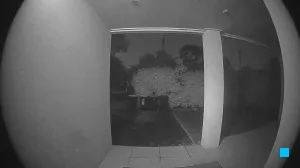 Caméra IP - ID
