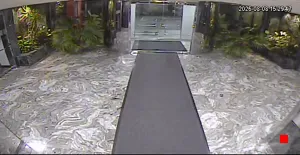 Caméra IP - US