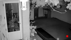Caméra IP - ES