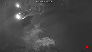 Caméra IP - US