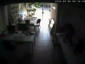 Caméra IP - IT