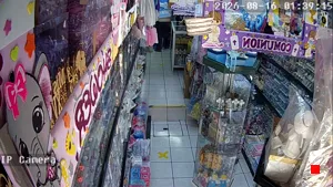 Caméra IP - MX
