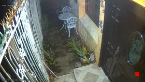 Caméra IP - MX