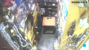 Caméra IP - IN