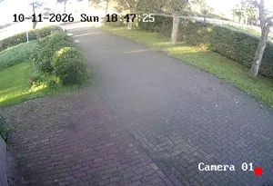 Caméra IP - NL