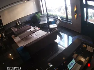 Caméra IP - PL