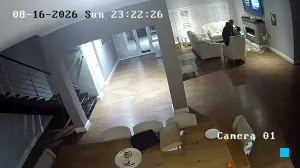 Caméra IP - ZA