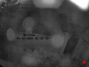 Caméra IP - RU