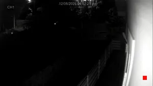 Caméra IP - IT