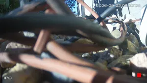 Caméra IP - US