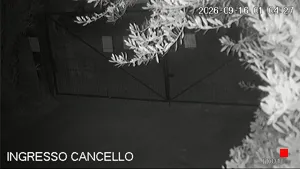 Caméra IP - IT