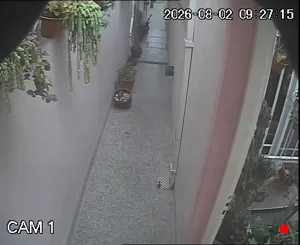 Caméra IP - AR