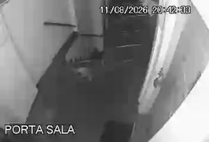Caméra IP - ALL