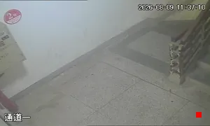 Caméra IP - CN