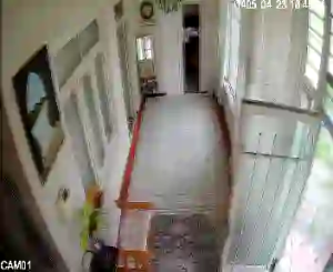 Caméra IP - IR