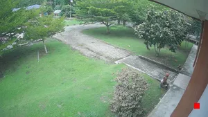 Caméra IP - TH