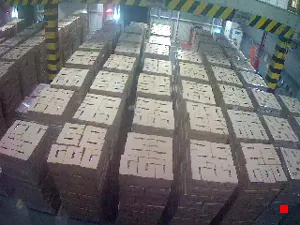 Caméra IP - BR