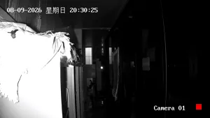 Caméra IP - CN