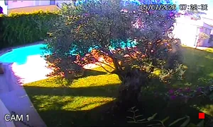 Caméra IP - IT