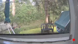 Caméra IP - DE