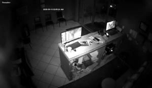 Caméra IP - US