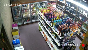Caméra IP - US