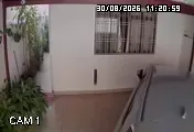 Caméra IP - BR